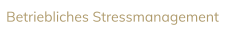 Training, Inhouse-Seminare, Betriebliches Gesundheitsmanagement, Betriebliche Gesundheitsförderung, BGM, BGF, Stressmanagement, Stress, Entspannung, Burnout-Prävention, Stressbewältigung, Zeitmanagement, 50plus 50+, Älterwerden, Kommunikationstraining GFK