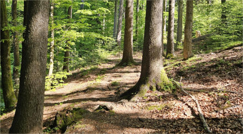 Betriebliches Stressmanagement, Betriebliches Gesundheitsmanagement, Betriebliche Gesundheitsförderung, BGM, BGF, Stressmanagement, Stresskurse, Burn-out-Prävention, Entspannung, Burnout-Prävention, Stressbewältigung, Stressmanagement, Zeitmanagement, Zei